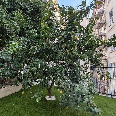 I Limoni * Sanremo