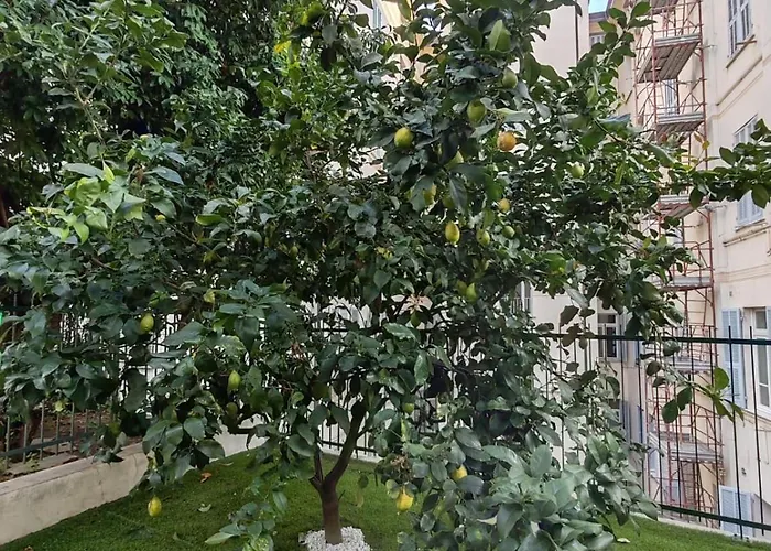 I Limoni * Санремо